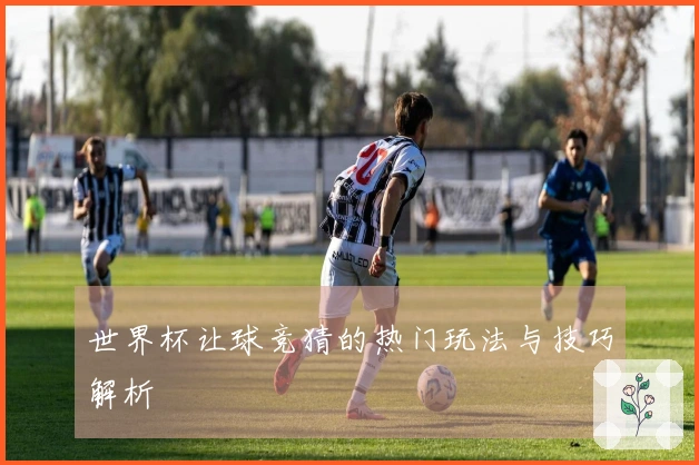 世界杯让球竞猜的热门玩法与技巧解析