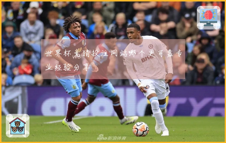 世界杯竞猜投注网站哪个更可靠专业经验分享