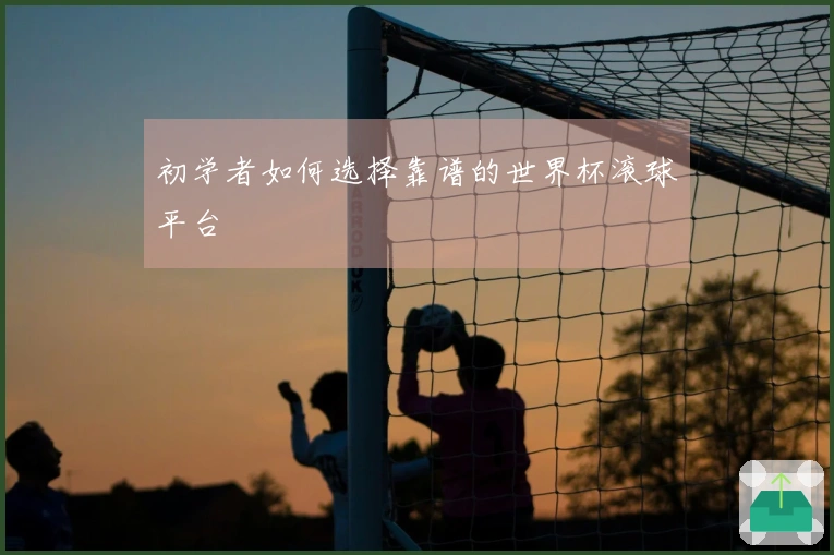 初学者如何选择靠谱的世界杯滚球平台