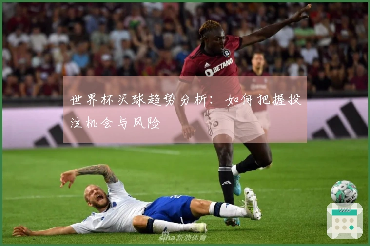 世界杯买球趋势分析：如何把握投注机会与风险