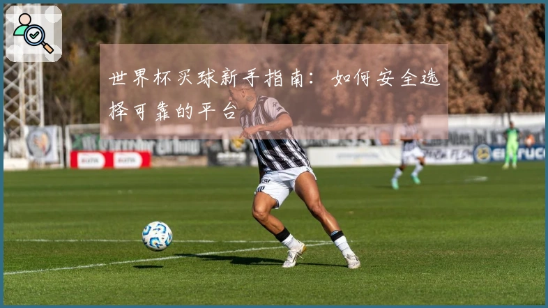世界杯买球新手指南：如何安全选择可靠的平台