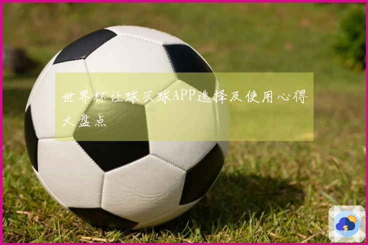 世界杯让球买球APP选择及使用心得大盘点