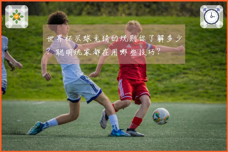 世界杯买球竞猜的规则你了解多少？聪明玩家都在用哪些技巧？