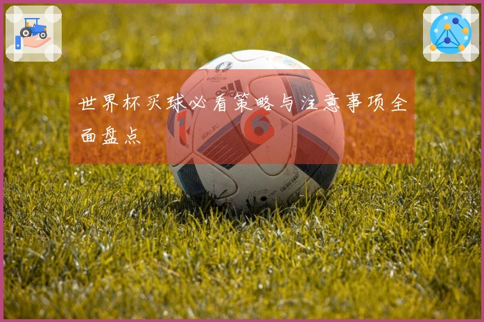 世界杯买球必看策略与注意事项全面盘点