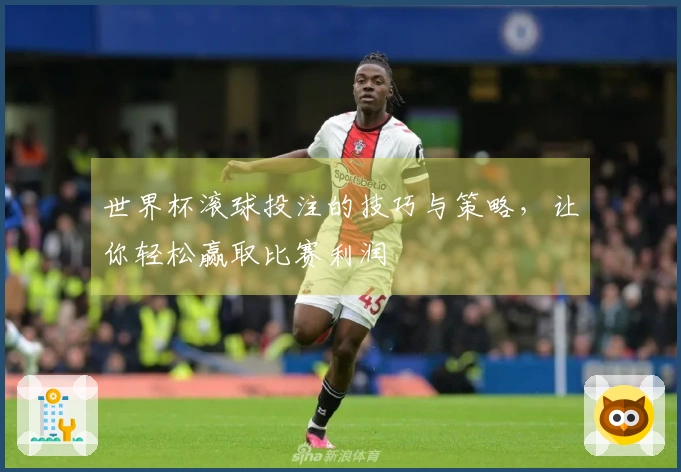 世界杯滚球投注的技巧与策略，让你轻松赢取比赛利润