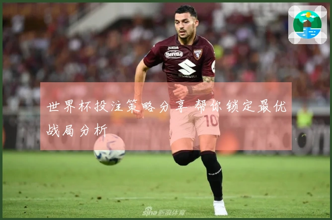 世界杯投注策略分享 帮你锁定最优战局分析