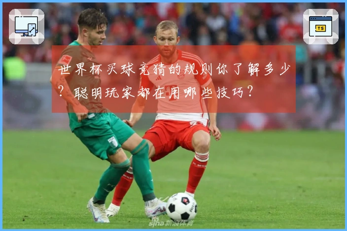 世界杯买球竞猜的规则你了解多少？聪明玩家都在用哪些技巧？
